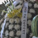 금호당 - 천안시 동남구 고재20길 7 | 금호당