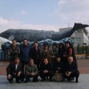 장생포고래박물관 이미지