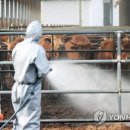 이해용 농장 연합뉴스