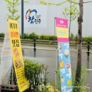 주정차단속-115 | 진주 가좌동 붕어빵맛집 붕호땅