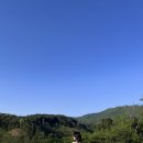 티볼리빌 네이버블로그