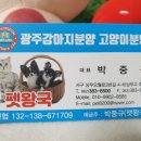 광주강아지분양 고양이분양 펫왕국 이미지