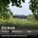 연인의길(조형물10 | 전남 담양 여행 필수코스! 죽녹원 입장료,주차 총정리(feat. 고양이, 죽통밥, 메타세쿼이아길)