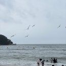 컨벤시아대로302번길 이미지