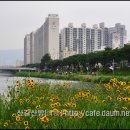 [부산여행]부산의 색다른 둘레길-온천천에서 수영강을 따라 광안리해수욕장까지 이미지