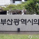 회기23 이미지