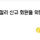 지노마켓