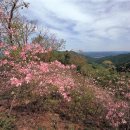 ^^*[철쭉 명산 5선] 연인산·서리산·제암산·안양산·황매산 이미지