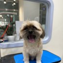 Mong's(몽'스) 이미지