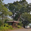 점동금광마을 이미지