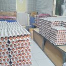 풀잎유통 이미지