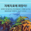 라이프렉스(주)