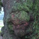 화방경로당 이미지