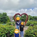 더베니스랜드 이미지