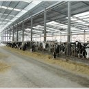 선두목장 이미지