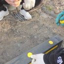 진영대형카정비 | 대구 경상 카 스토퍼 주차장 시공 후기