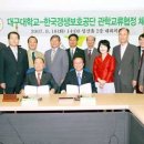 갱생 티스토리