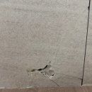 공간정리전문가(월) | 아트월 부서짐 교체 VS 보수, 고민끝에 복원으로 해결한 후기