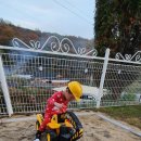 에코키즈스테이 이미지