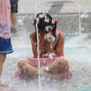 바운스복싱 이미지