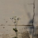 돌산보건지소 이미지