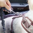 펫츠베이 | [펫츠베이] 강아지 안전벨트 후기