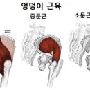 리즈핏 피트니스 이미지
