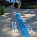 주상절리대 | 제주 관광지 '주상절리대' 후기✨️