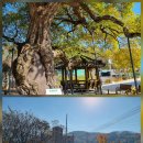 단산 경로당 이미지