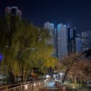 (주)미래에너지 화장실 | 제27회 이천 도자기 마라톤대회 (하프 마라톤 벼락치기 준비 후기, 21.1km)