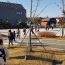 평택시청직장어린이집 이미지