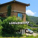 앙평독채펜션 단체 워크샵 나마네대저택 이용후기