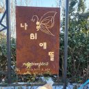 나비애뜰