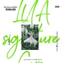 2382 | 군산 웨딩관리 루아에스테틱 웨딩 시그니처 관리 솔직후기