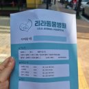 리라동물병원 이미지
