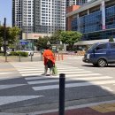 주정차단속-101 이미지