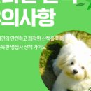 하샘펫푸드연구소 이미지