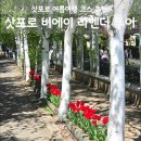 지수사슴농장 | 삿포로 여름 여행 코스, 비에이 라벤더 투어 맥주축제 7월 총정리