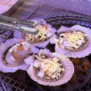 청사포 | 청사포 맛집 :: ‘도희네 조개구이’ 청사포 조개구이 후기