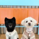 골드게임장 이미지