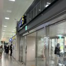 제일오토카서비스 | 제주공항 롯데렌트카 이용후기 (할인,요금,셔틀버스,보험,반납시 주유계산,카시트대여,애견동반,장단점...
