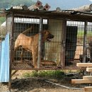 용종농장 이미지