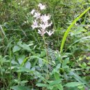 백선농장 이미지