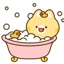 애견의숲 이미지