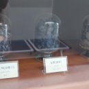 성성한의원 이미지