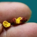 미니어처 만들기 이미지