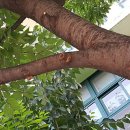 서울영일초등학교 이미지