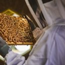 솔라4 태양광발전소 이미지