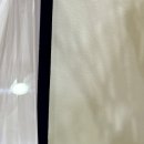 프로젝트유 이미지
