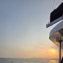 메디팜 주식회사 이미지